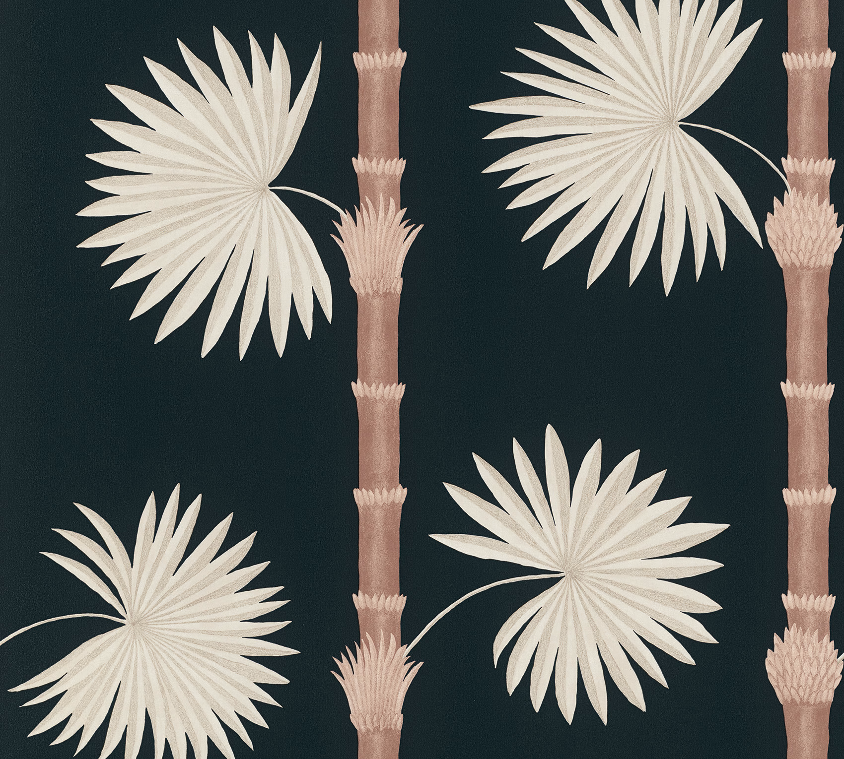 Обои Paint & Paper Library Botany Hardy Palm Acqua Viva 0360HAAQUAV